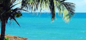 EXCURSÃO SESC ILHA DE ITAPARICA/BA